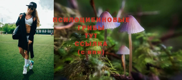 МДПВ Абдулино