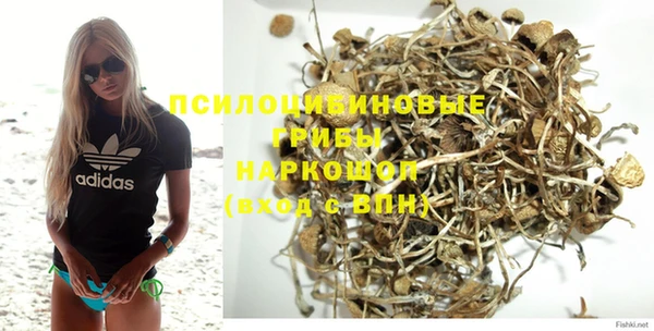 трава Абаза