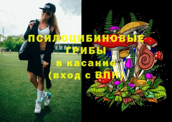 МДПВ Алексеевка