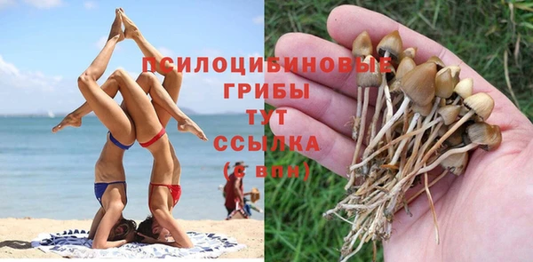 МДПВ Абдулино