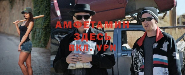 твердый Алзамай