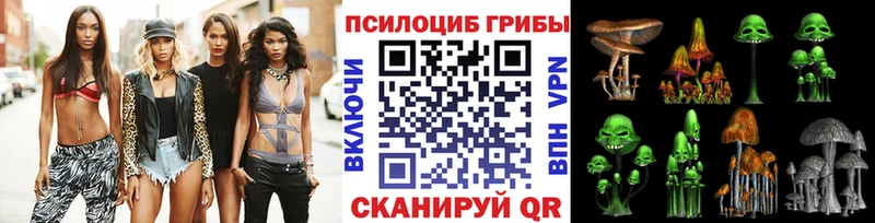 наркота  Тутаев  Псилоцибиновые грибы Psilocybe 