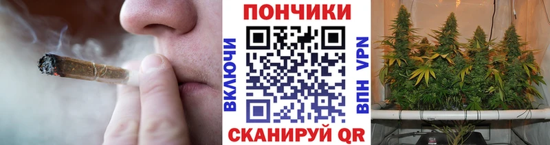 Бошки марихуана сатива хочу Тутаев